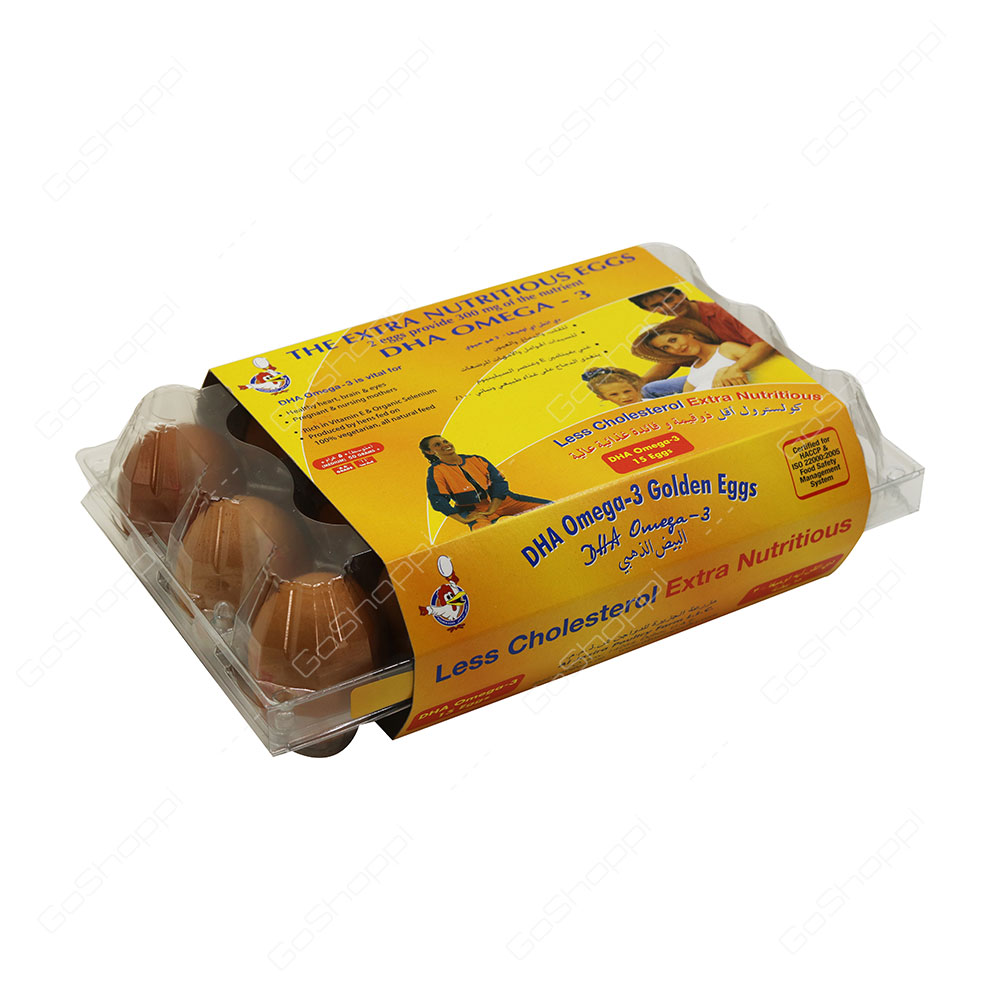 Al Jazira Brown D H A Omega 3 Golden Eggs 15 pcs