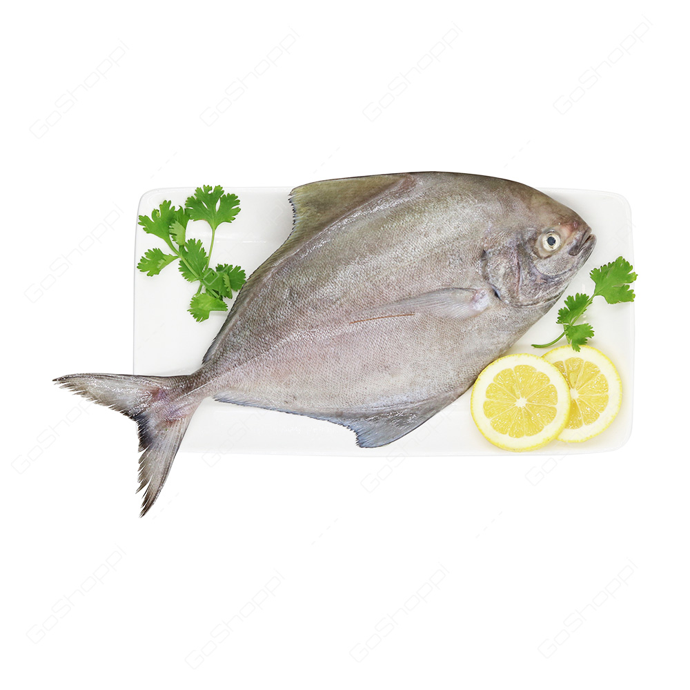 Black Pomfret 500 g