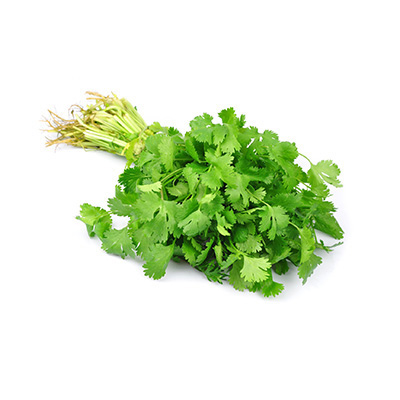 Coriander Bunch 1 pcs