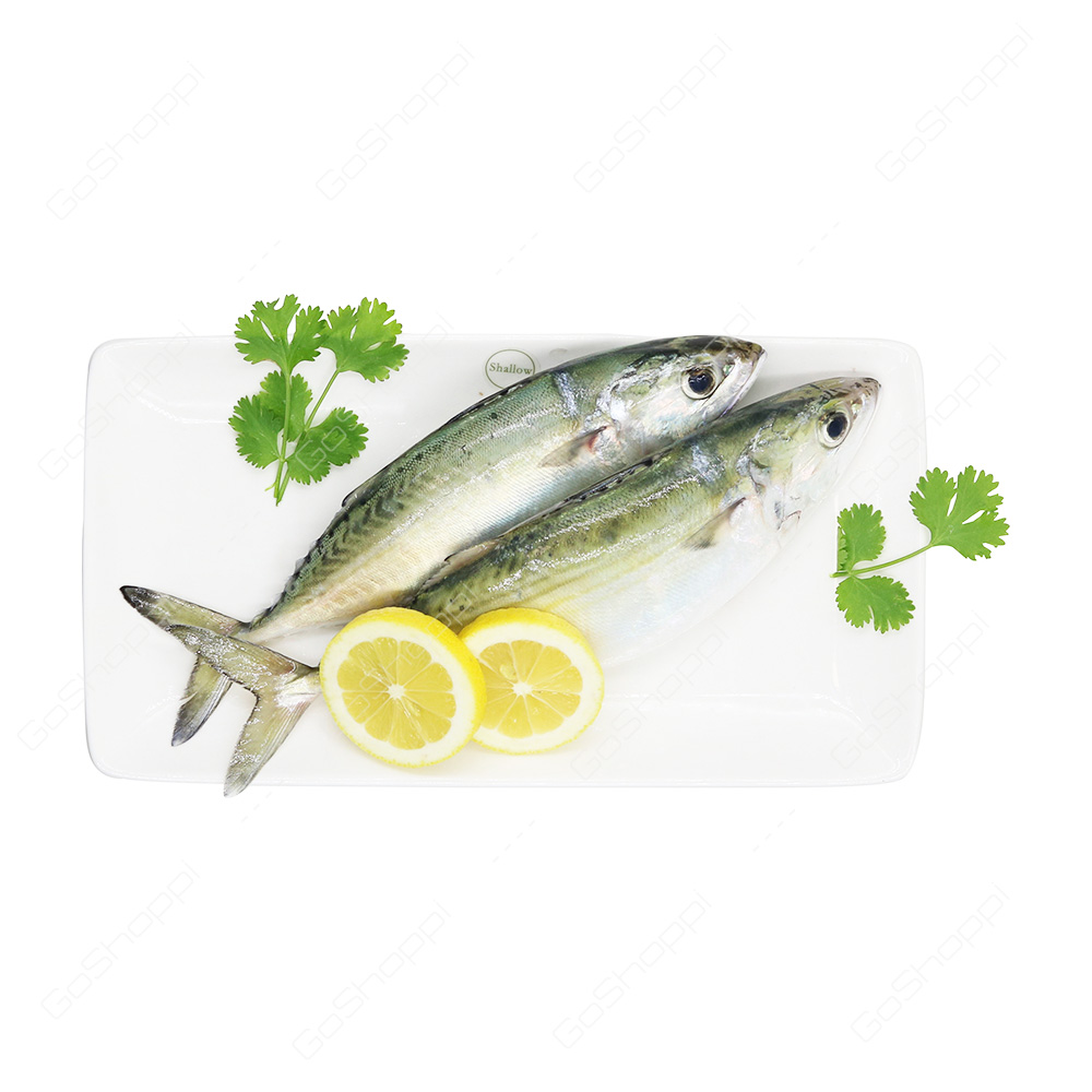 Mackerel Fish Big 500 g