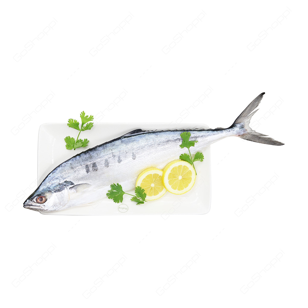 King Fish Small 500 g