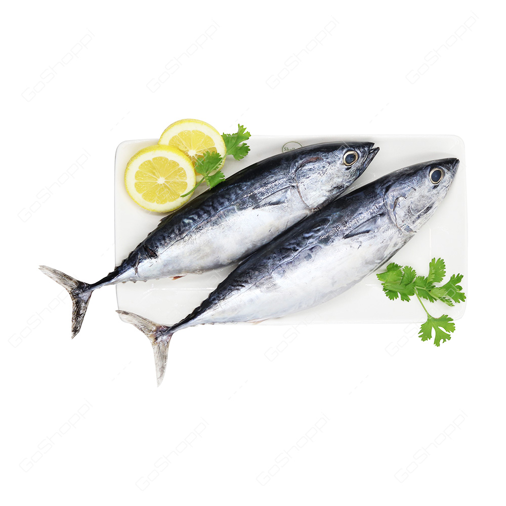 Tuna Fish 500 g